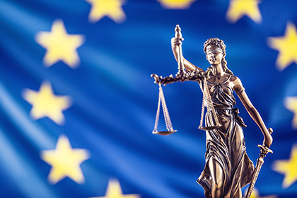 Европейский Суд выявил нарушения в уголовном деле о теракте в «Невском экспрессе»